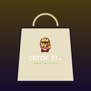 Catch It tote